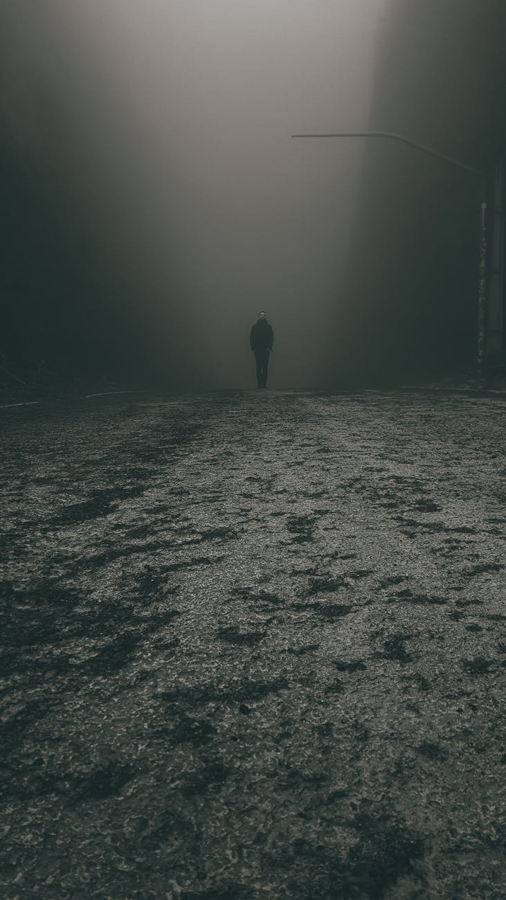 dark toned image of a man standing on frosted terrain